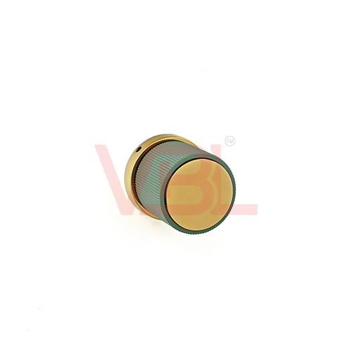 Olive + PVD Gold